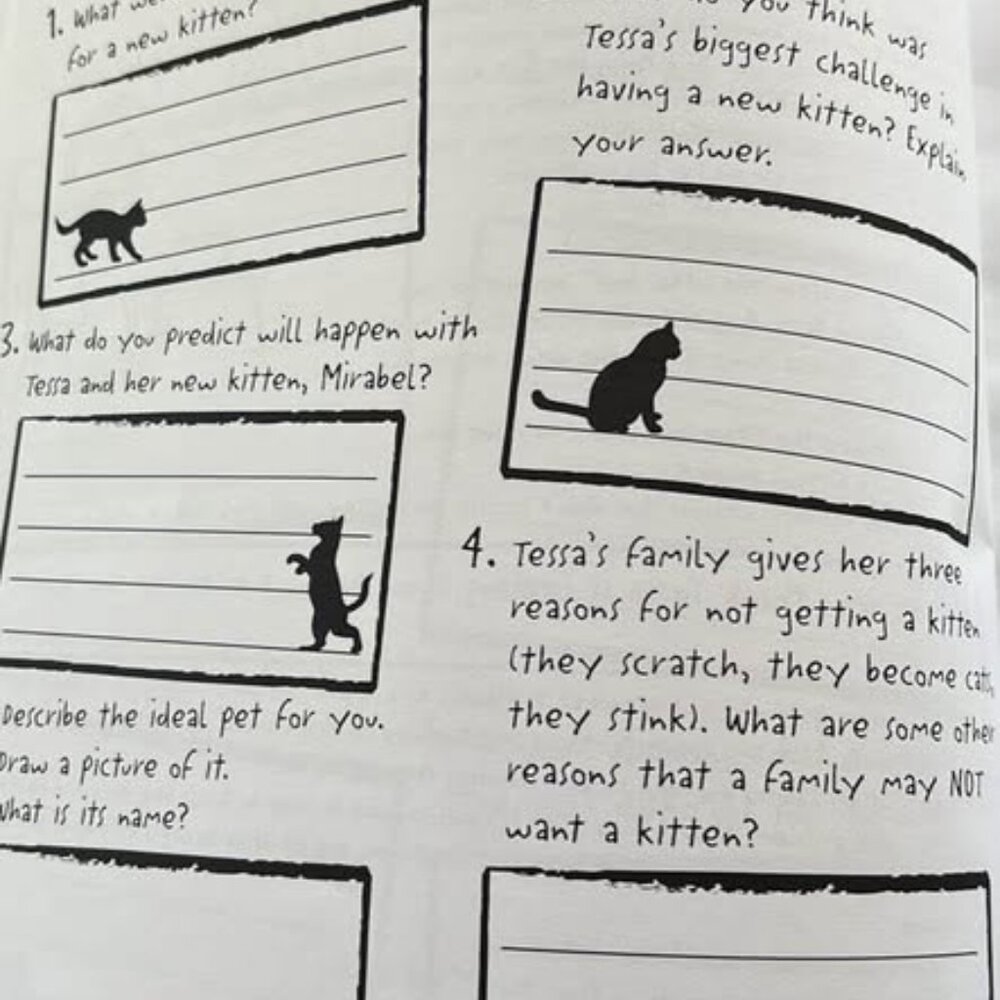 JUST GIRLS READING COMPREHENSION - Picture 5 of 7